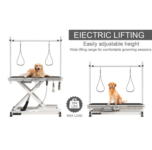 Super Deluxe Electric Pet Grooming Table, 110V  220V Professional