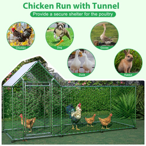 Poultry Habitat Cage With Lid For Chicken Coop