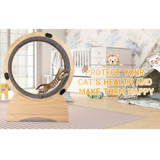 Cat Treadmill With Carpeted Runway, Kitty Cat Sport Toy